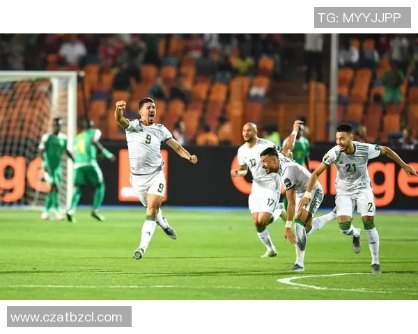 全方位解读足球：历史、战术与明星